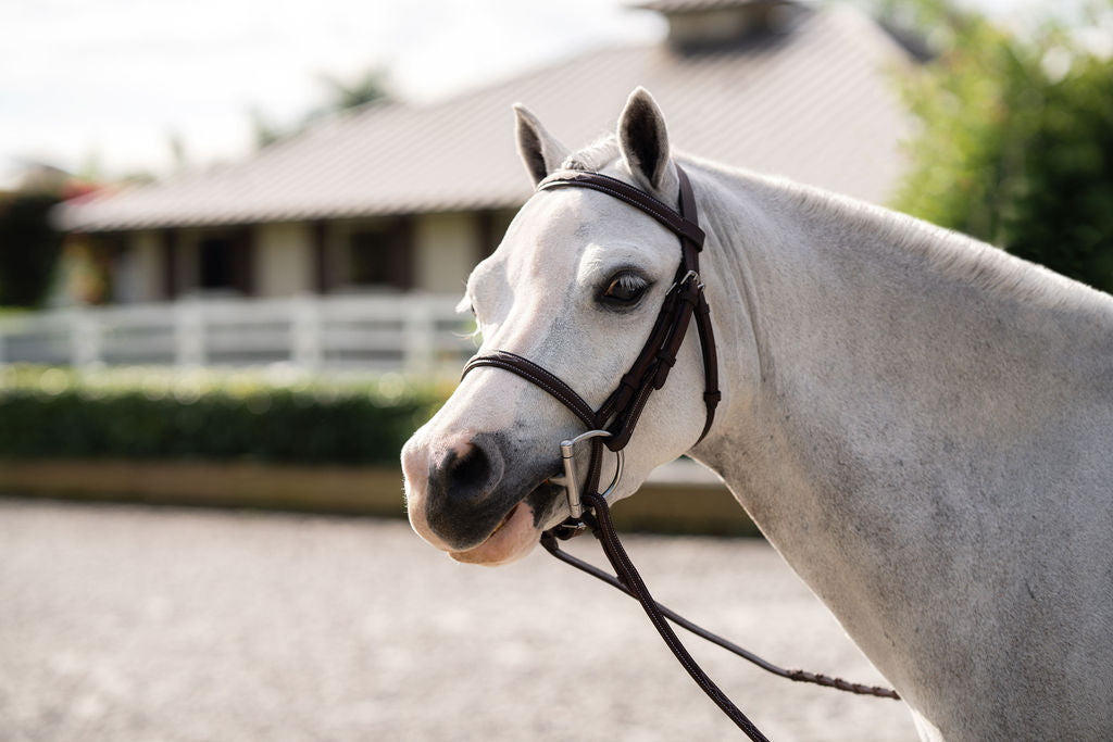 Farnley Bridle