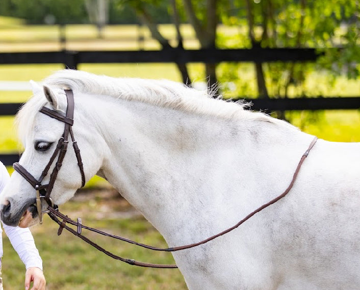 Rubber Reins