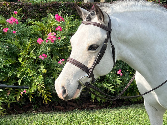 Sugarbrook Bridle Wide Noseband