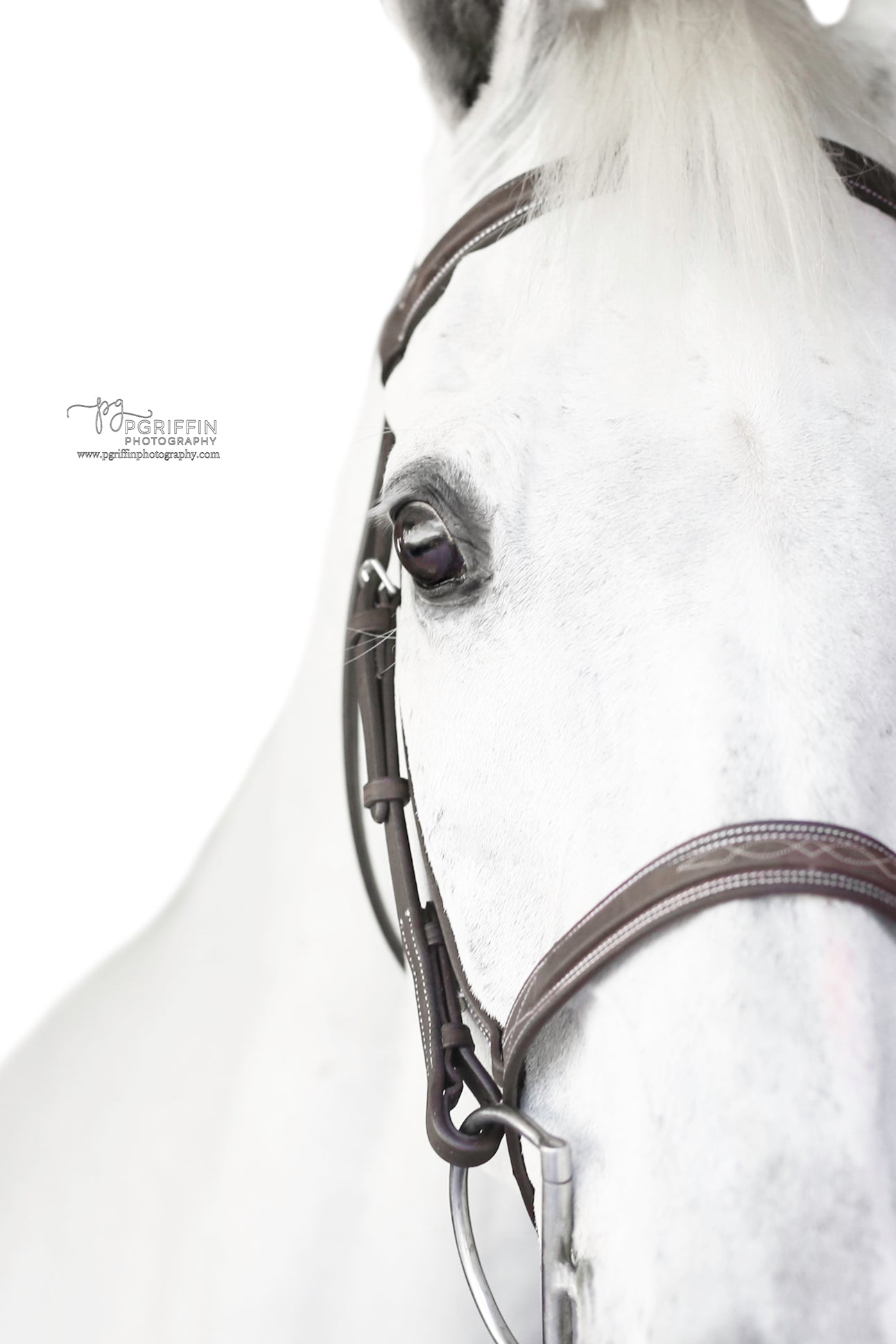 Sugarbrook Bridle Wide Noseband
