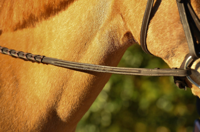 Reins