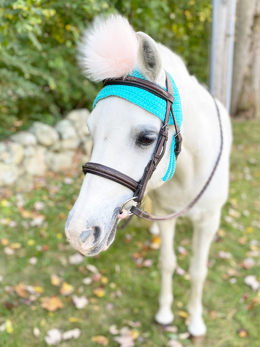 Pom Pom Bonnet